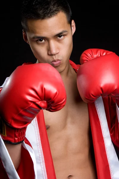 Youn boxeador —  Fotos de Stock