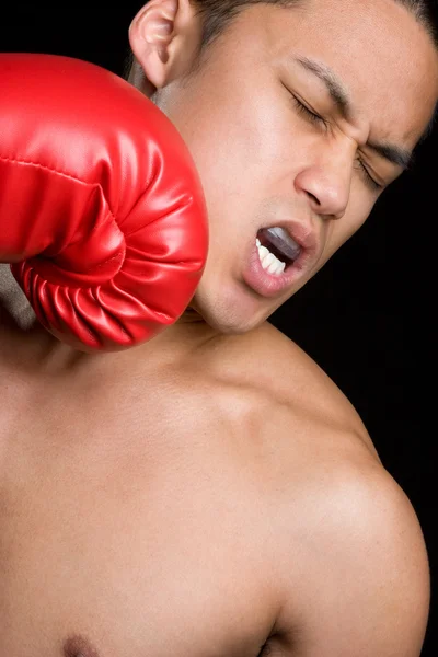 Youn bokser — Zdjęcie stockowe