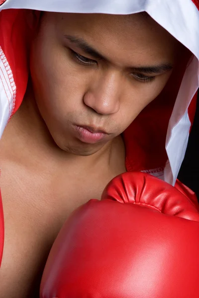 Unga boxare — Stockfoto