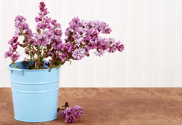 Lilás roxo em um balde azul — Fotografia de Stock