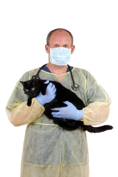 Ветеринар везет кошку на операцию — стоковое фото