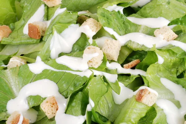 Macro cesar salad — Stock Photo, Image