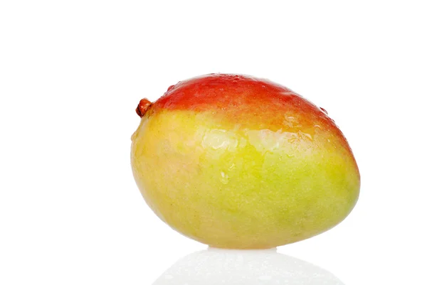 Närbild våta mango — Stockfoto