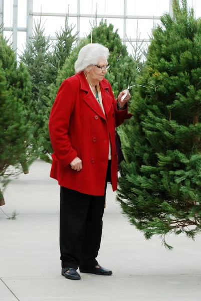 Senior shopping for christmas tree — Stock Photo, Image