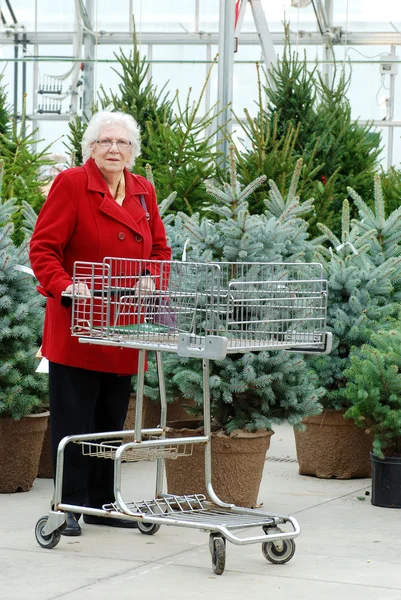 Femme âgée avec chariot shopping arbre de Noël — Photo