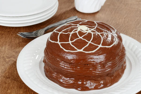 Chocolate cake with white icing — Stock Photo, Image