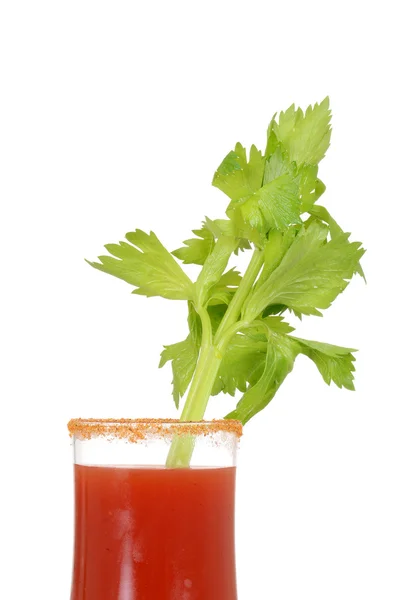 Närbild caesar cocktail drink — Stockfoto