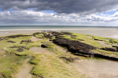 plaj dunstanburgh