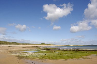 View along the beach at Dunstanburgh clipart