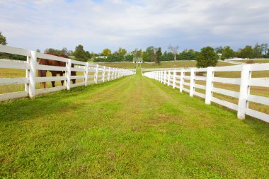Horse farm clipart