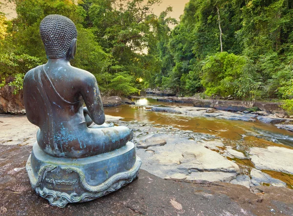 Buda da selva — Fotografia de Stock
