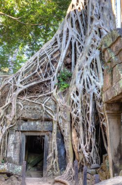 Ta Prohm