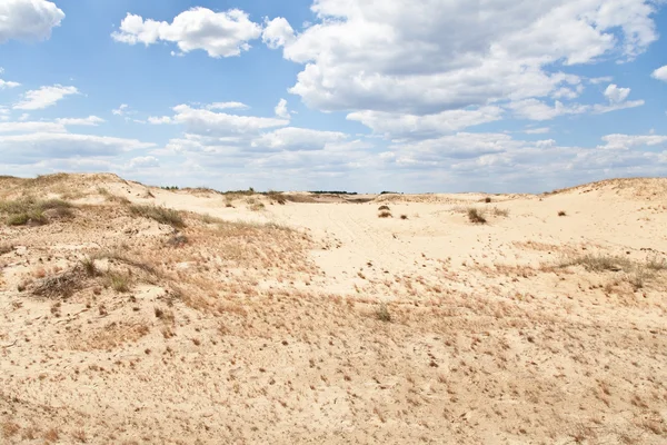 Desert view — Stock Photo, Image
