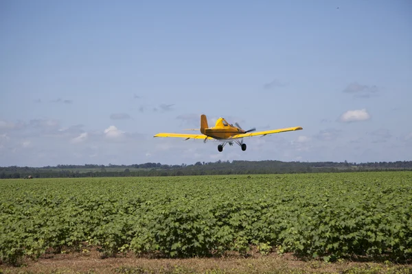 stock image Centered Crop Dusting Plane