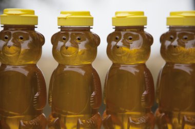 Row of Honey Bears clipart