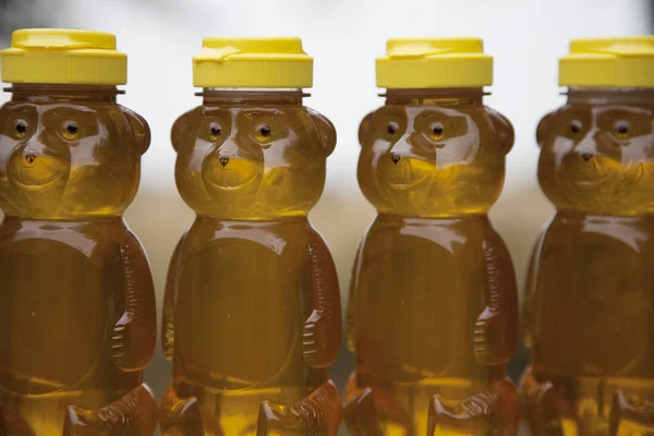 stock image Row of Honey Bears