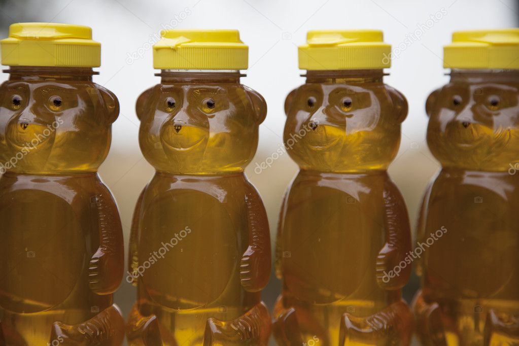 Row of Honey Bears