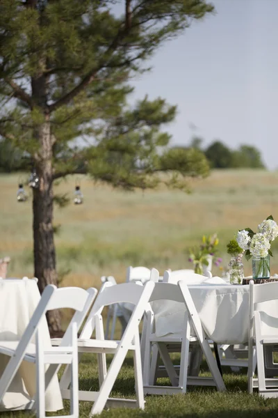 Outdoor Country Reception