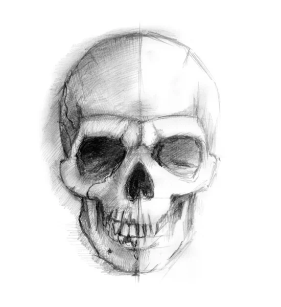 Desenho crânio humano — Fotografia de Stock