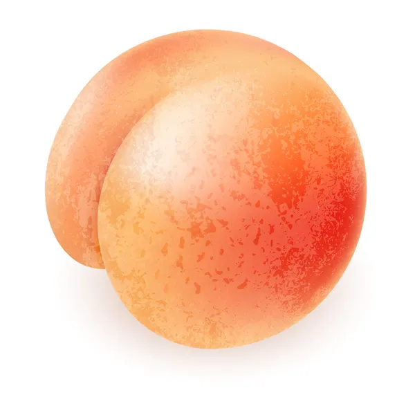 食欲をそそる熟した桃 — ストックベクタ