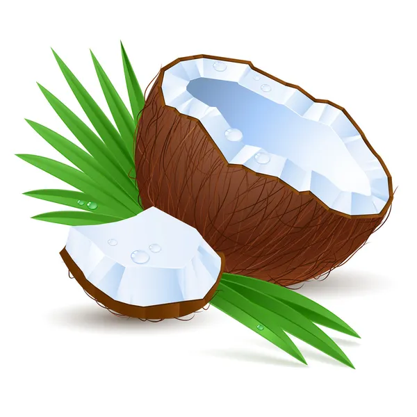 Eine halbe Kokosnuss — Stockvektor