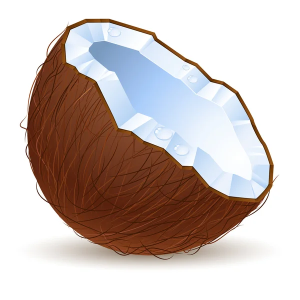 Hälften en kokosnöt — Stock vektor