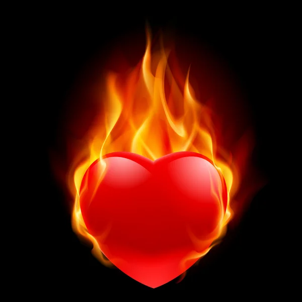 Brandend hart — Stockvector