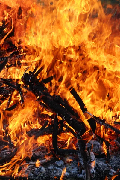 빨간 불에 굽기의 근접 촬영 — 스톡 사진