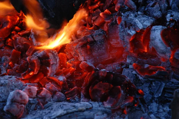 Carbone da incendio — Foto Stock