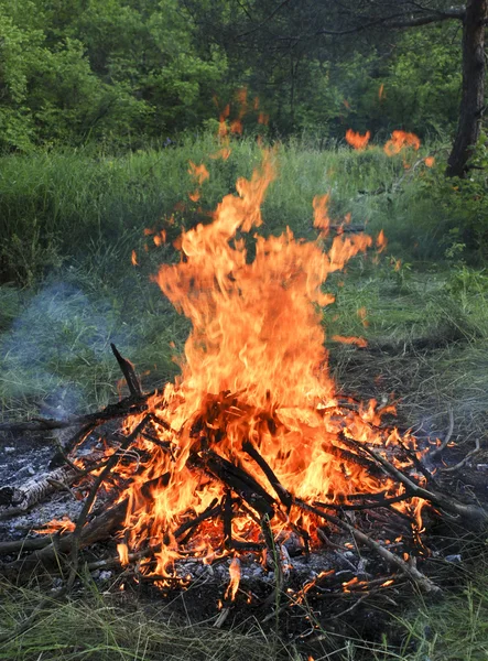 Fogo de acampamento de madeira — Fotografia de Stock