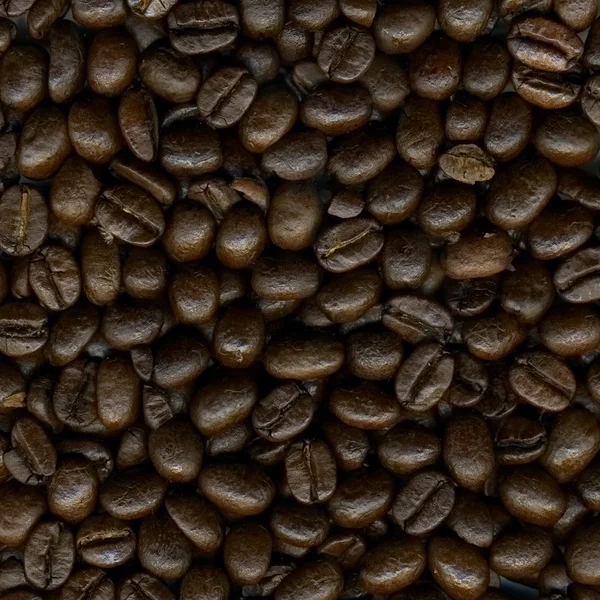 Barna kávé — Stock Fotó