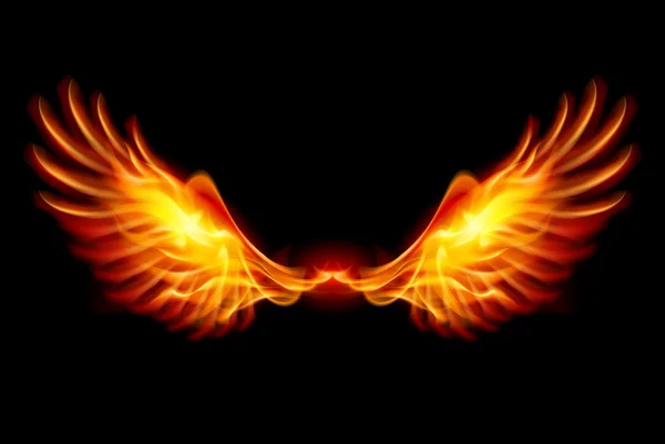 Burning Wings — Stock Vector