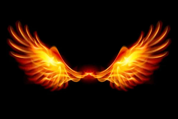 Спалювання крила — стоковий вектор