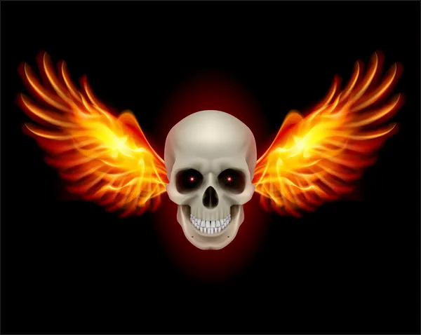Cráneo con alas de fuego — Vector de stock