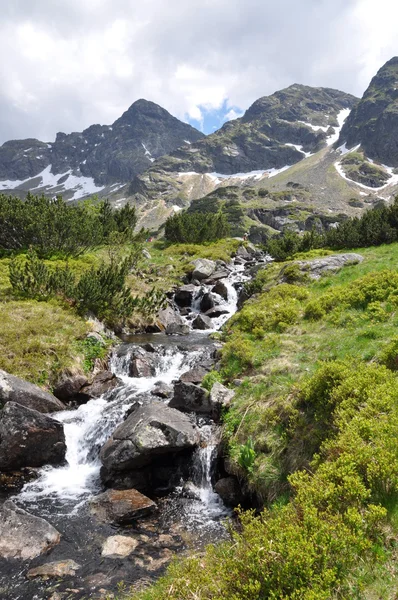 Гірський струмок природи — стокове фото