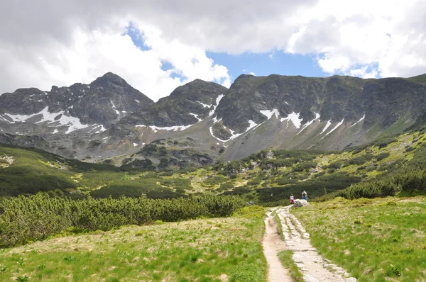 Montaña Paisaje Trail —  Fotos de Stock
