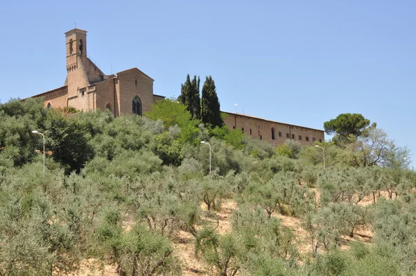 Las colinas de San Gimignano, paisaje de Toscana —  Fotos de Stock