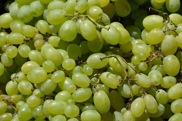 Зібрання білого винограду на ринку — стокове фото