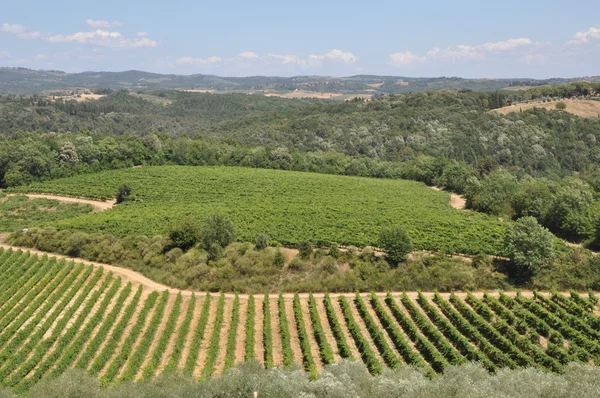 Blick auf die Hügel der Toskana — Stockfoto