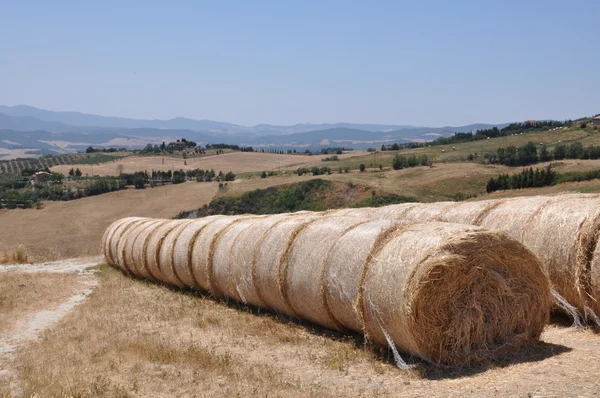 stock image Rolled straw after the harvest in Tuscany