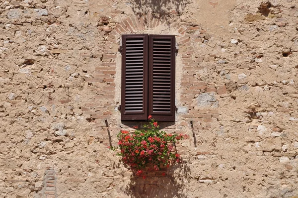 Fenster mit Blume auf einer Steinmauer — Stockfoto