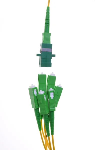 Bağlayıcılar, veri iletişim ağlarında kullanılan optik kablo — Stok fotoğraf