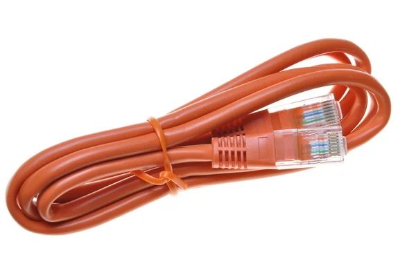 Um único cabo de patch de rede de internet — Fotografia de Stock