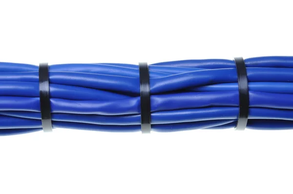 Синие сетевые кабели — стоковое фото