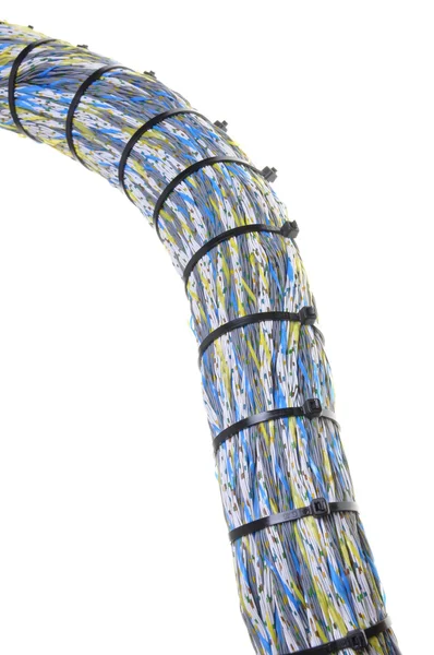 Síťové kabely s kabelovými svorkami — Stock fotografie