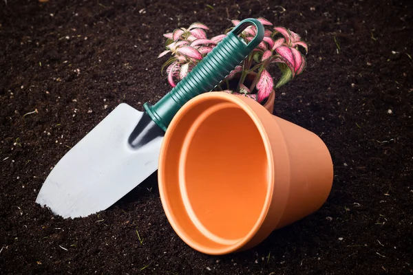 Spade en bloem in pot — Stockfoto