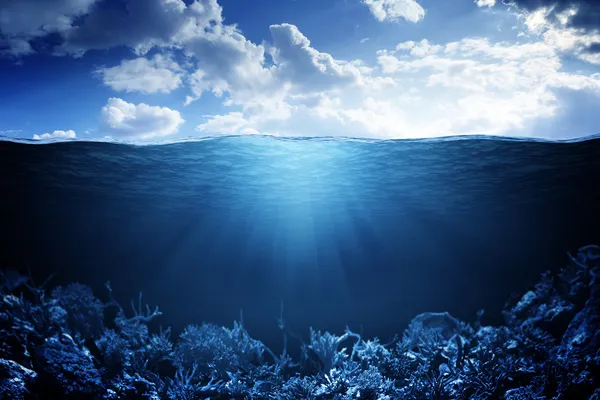 Ватерлинии и подводный фон — стоковое фото