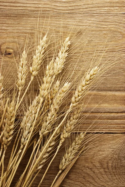 Buğday. — Stok fotoğraf