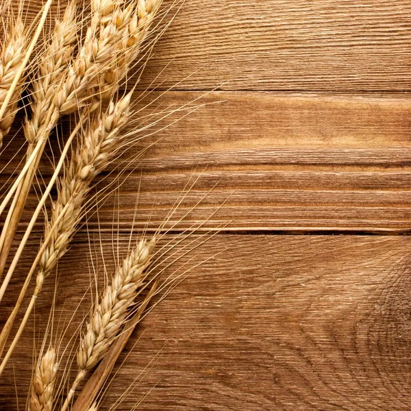 Buğday. — Stok fotoğraf
