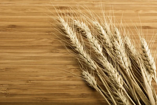 小麦, — 图库照片